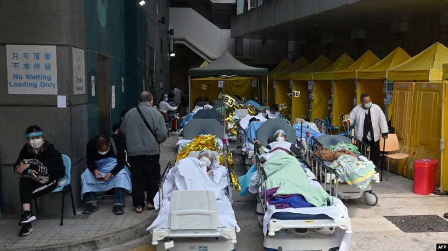 疫情_疫情是哪一年开始的_疫情疫情宣传政策