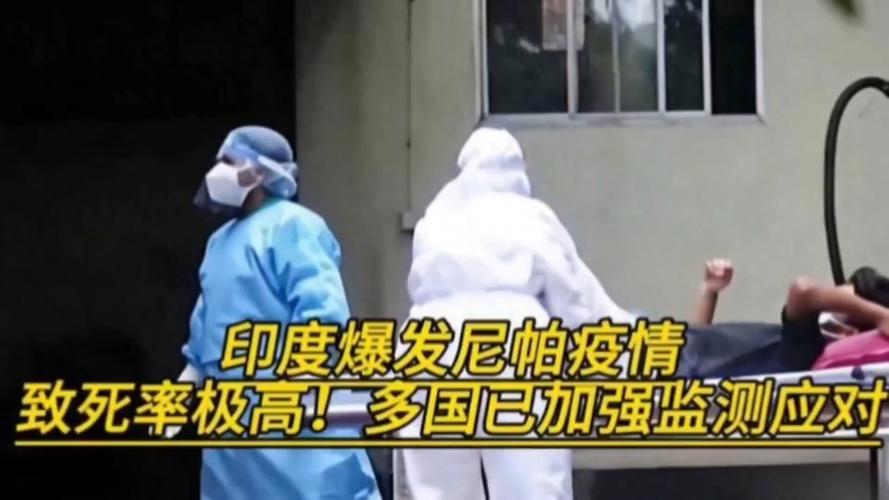 疫情_尼帕病毒传播途径与风险_尼帕病毒疫情