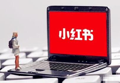 小红书刷数据网站_小红书刷赞安全方法_小红书如何刷赞不会被发现