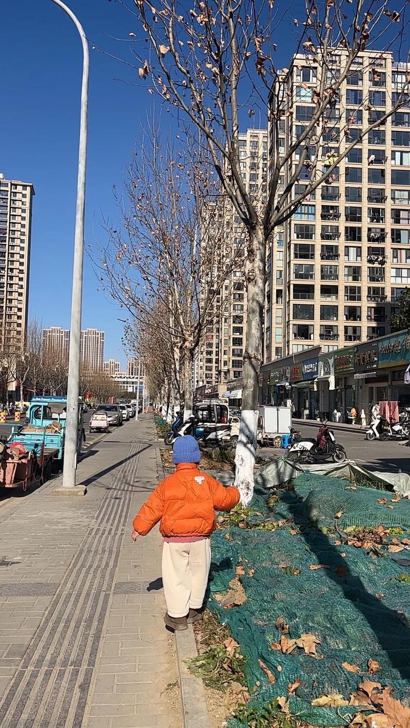 疫情期间生活变化_疫情_新冠疫情